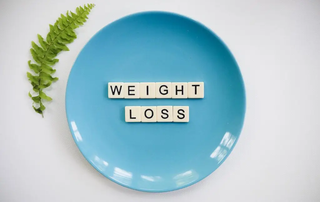 good-weight-loss-programme-for-women-best-diet-plate