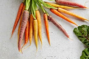 best-macros-for-pcos-the-health-space-carrots