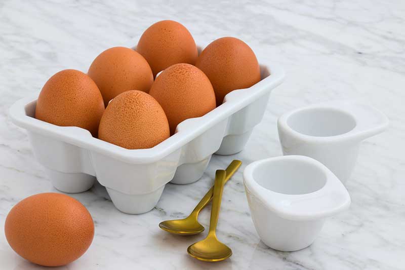 high-protein-foods-protein-intake-health-eggs