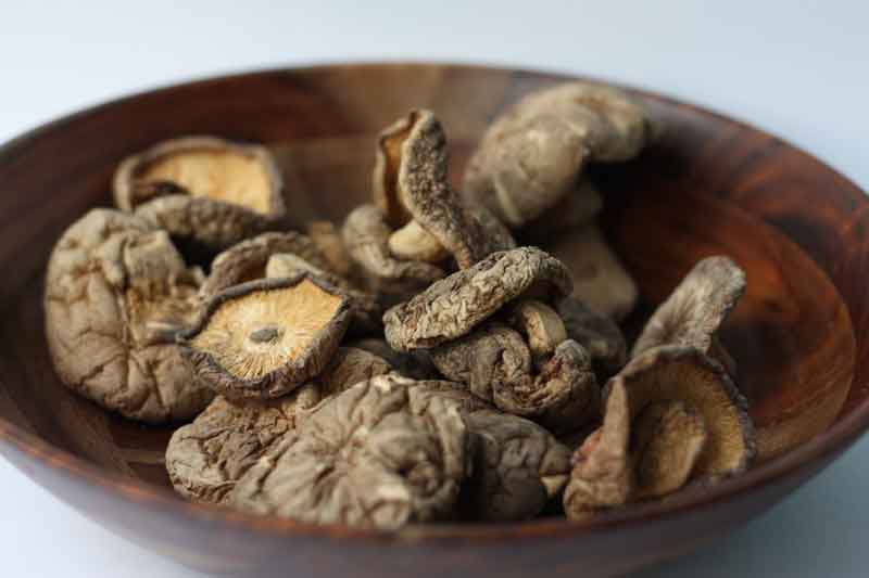 what are adaptogens the power of adaptogens