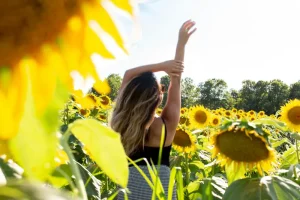 Summer-wellness-tips-Sunflowers